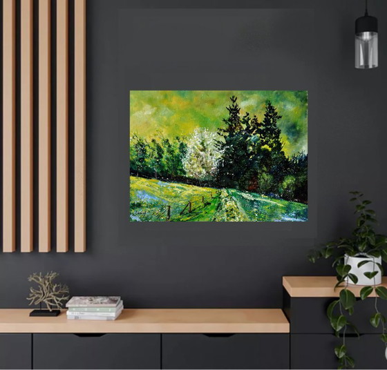 Image 1 of Spring path