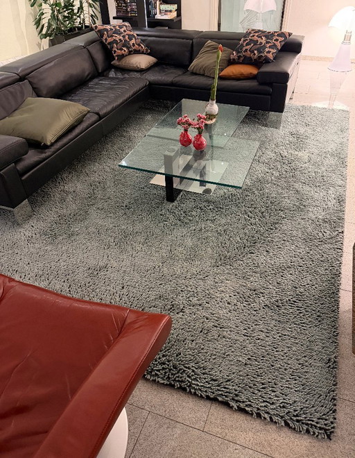 Tapis Forêt avec sous-couche