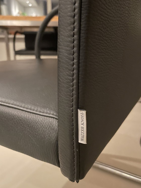 Image 1 of 6 sedie Walter Knoll