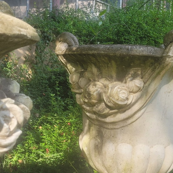 Image 1 of Vazen Medicis Zeer Groot Paar