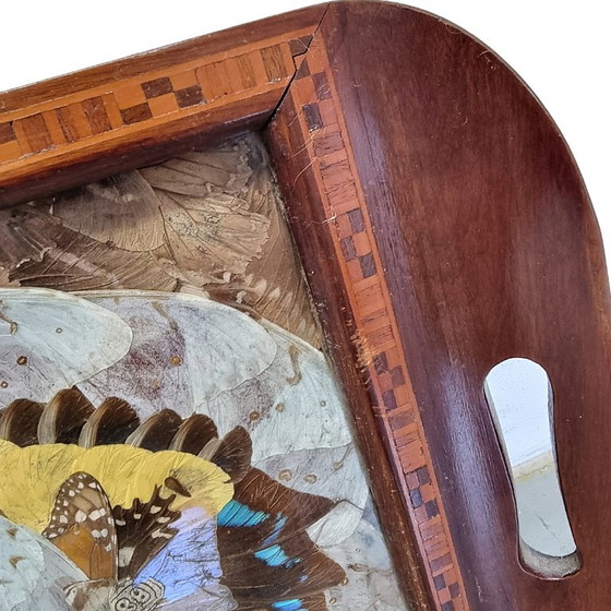Antiek Art Deco dienblad met echte vlindervleugels – Tafelaccessoires, Wood (photo 5 of 6)