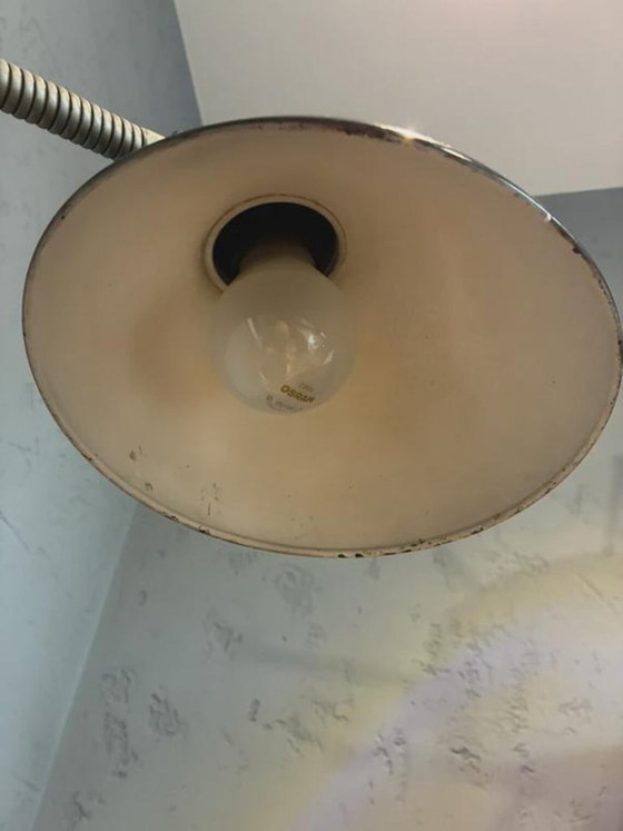 Lampada da scrivania Kaiser Idell 6740 di Christian Dell, nera, Germania, anni '50, Lampade da tavolo, Metallo (foto 7 di 8)