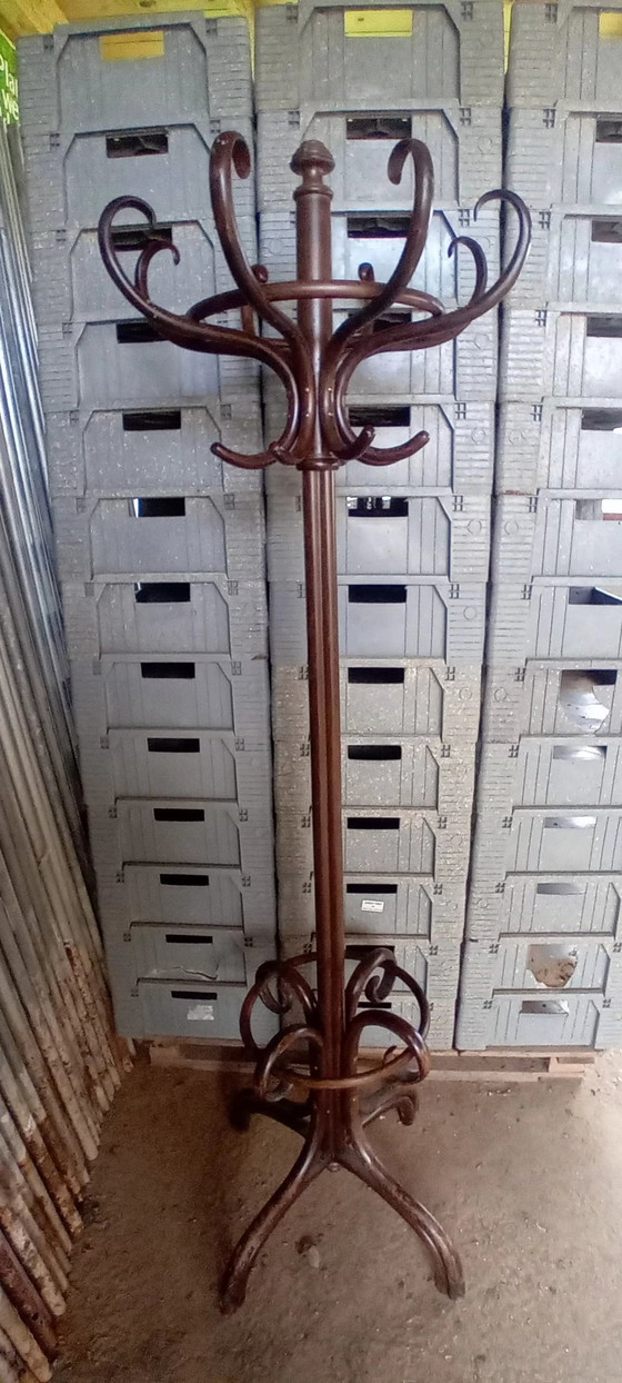 Image 1 of Appendiabiti Thonet originale