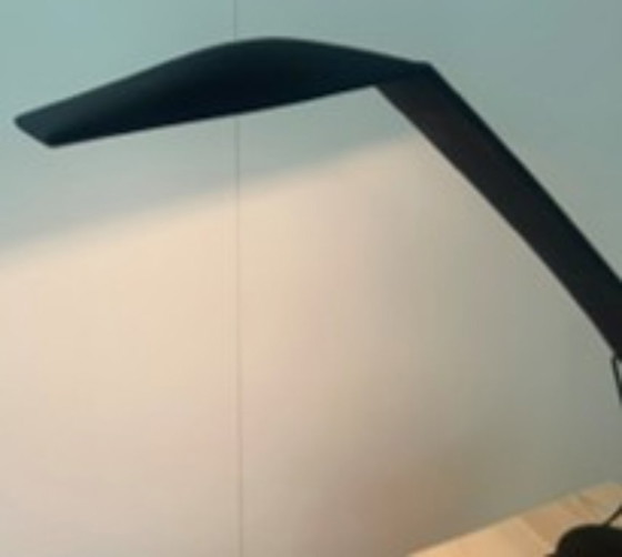 Image 1 of Dove Design Bureaulamp van Marco Colombo & Mario Barbaglia voor PAF Studio