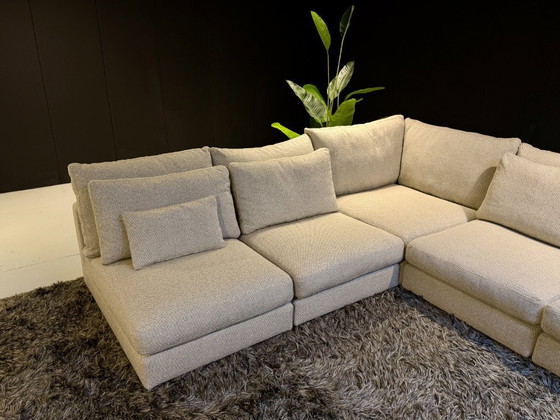 Image 1 of Linteloo Mauro