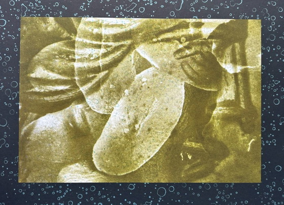 Image 1 of Serigrafía de Titus Nolte