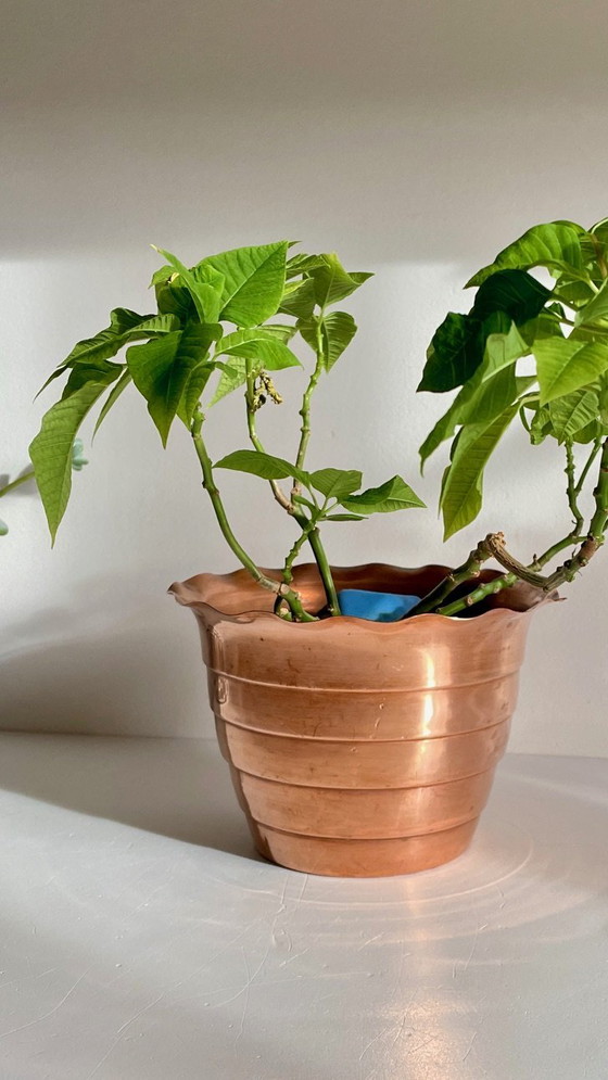 Image 1 of Mur de Barrez" planter France 1960s