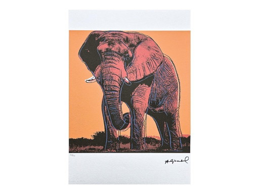 Naar Andy Warhol, Olifant, jaren 1980, Lithografie – lithos zeefdrukken, Paper