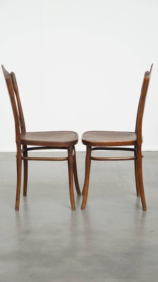 Set of 2 original Jacob and Josef Kohn bentwood Thonet design chairs from early 20th century
