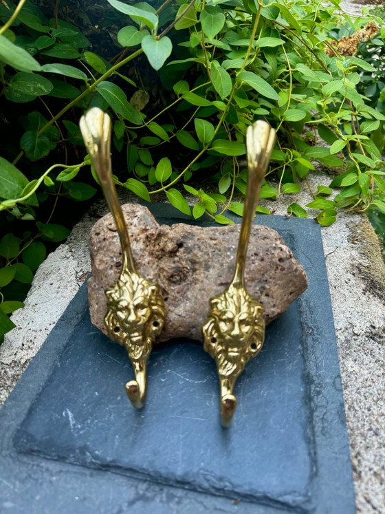 2 lion coat hooks in solid brass Art Nouveau – Coat racks (photo 6 of 6)