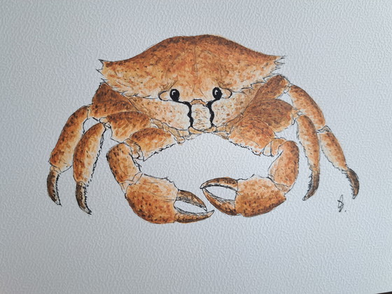 Image 1 of Watercolor painting Crab | Gold-colored frame