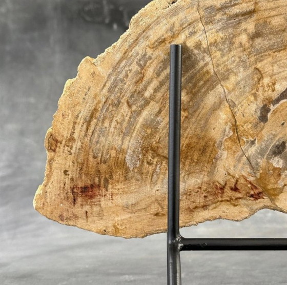 Image 1 of Bois fossilisé de Sooka, fabrication sur mesure standard (neuf)
