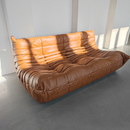 Ligne Roset Togo Set