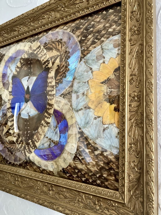 Image 1 of Composizione astratta incorniciata a forma di ali di farfalla