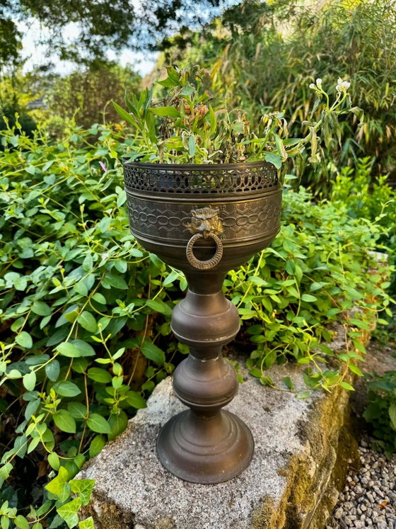 Grande Vasi per piante leone in ottone su supporto in stile barocco Art Nouveau. – Brass, Barok (photo 3 of 6)