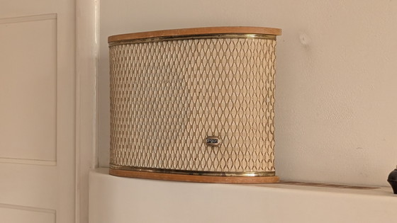 Sistema di altoparlanti per trasmissioni radiofoniche degli anni '50, modificato. – Oggetti decorativi, Metal (photo 5 of 15)