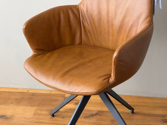 Maple and set – Bert Plantagie, Dining chairs, Textile, Lambskin (photo 3 of 6)