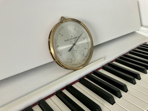 old Fischer hydrometer - relative humidity meter - 13cm