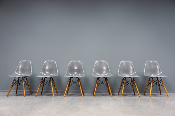 Image 1 of Sedie Eames DSW Elephant in fibra di vetro grigia, 6x