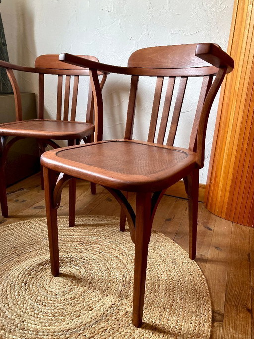 Par de sillas Stella vintage – madera, década de 1950