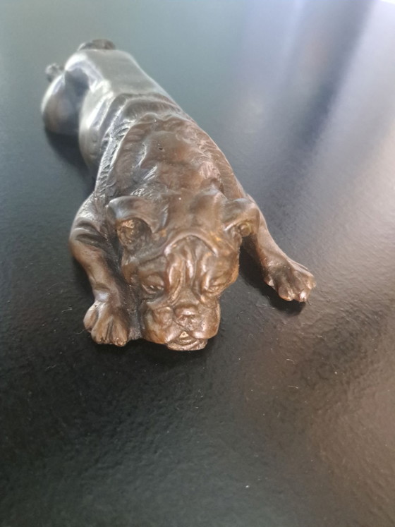 Scultura Bulldog in Bronzo – Oggetti decorativi, Metallo (photo 4 of 5)