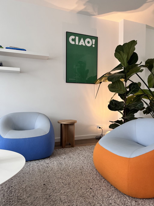 Set of Artifort Swamp lounge chairs