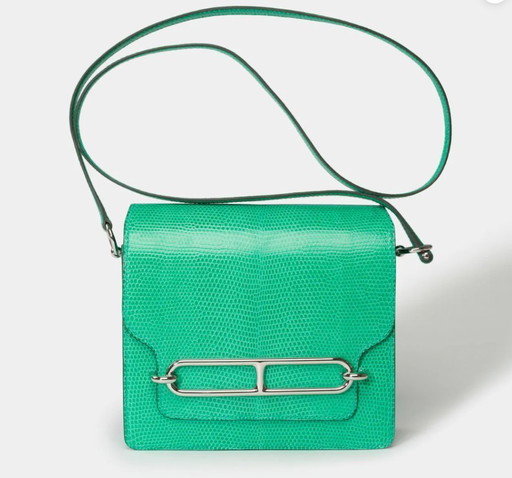 Borsa Hermes Roulis in Cuirs Exotiques Vert - 101528