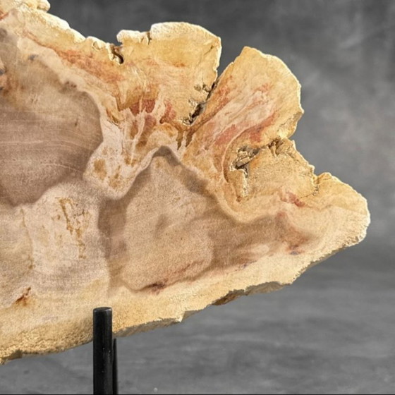 Image 1 of Madera fosilizada de Sooka, soporte hecho a medida (nuevo)