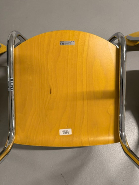 Juego de cuatro sillas cantilever Thonet Mart Stam Modelo S43, Sillas de comedor, Madera, Cromo, Amarillo (foto 11 de 15)