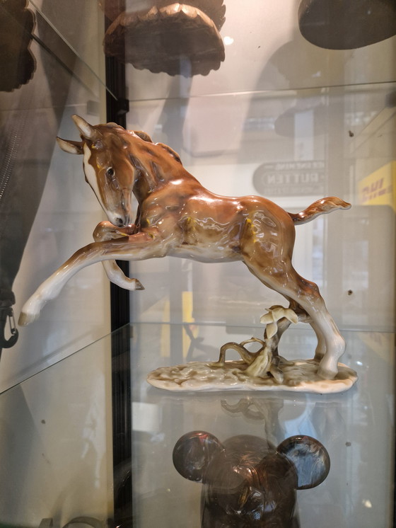 Image 1 of Hutschenreuther Kunstabteilung – Steigerend Paard | Porselein | ca. 1950–1970
