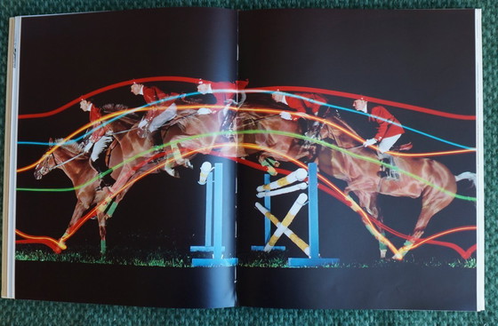 Image 1 of Ein Königreich für ein Pferd