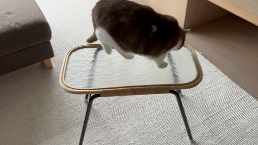 Salontafel Rohe Noordwolde jaren 50