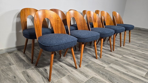 Dining Chairs by Antonin Suman