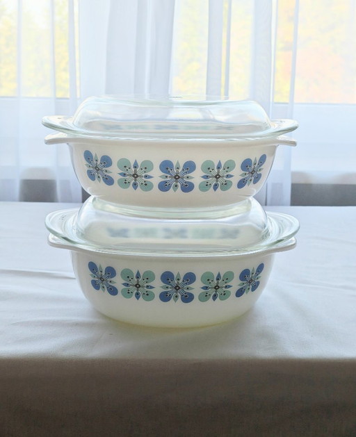 Set Vintage Schott Mainz / Jenaer Glas Pirofile (anni '70)
