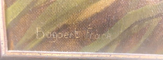 Image 1 of Frank Bogaert