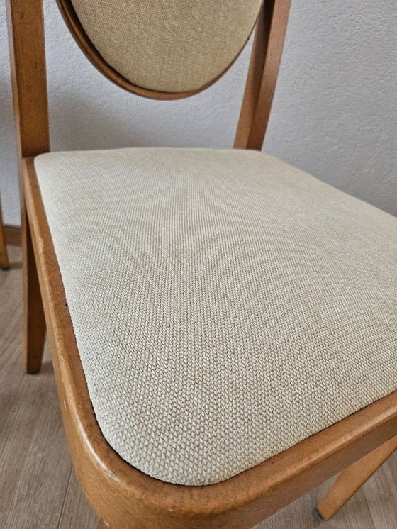 Image 1 of 5 elegantes sillas Thonet