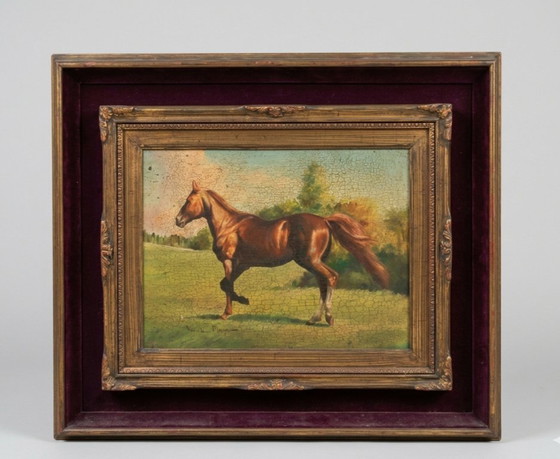 Image 1 of Antique oil painting on panel Thoroughbred Horse Italian School early 1900s