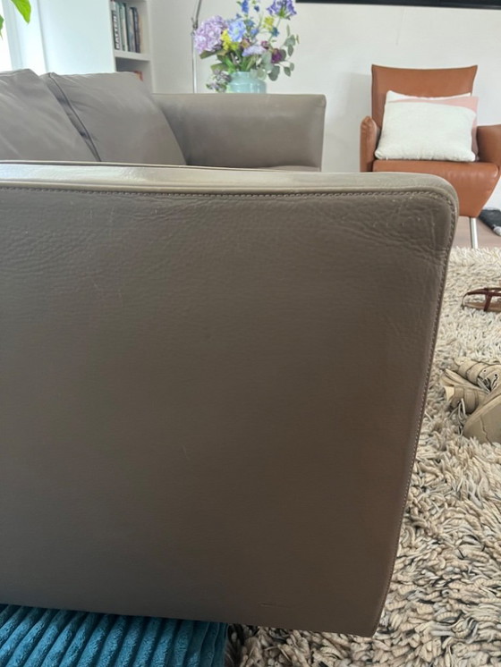 Image 1 of Molinari Modelo Aspen, Color Hígado 2017