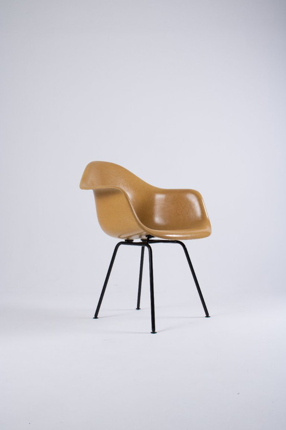 Image 1 of DAX Eames en fibre de verre – Light Ocre – Herman Miller / Vitra – circa 1965-1975