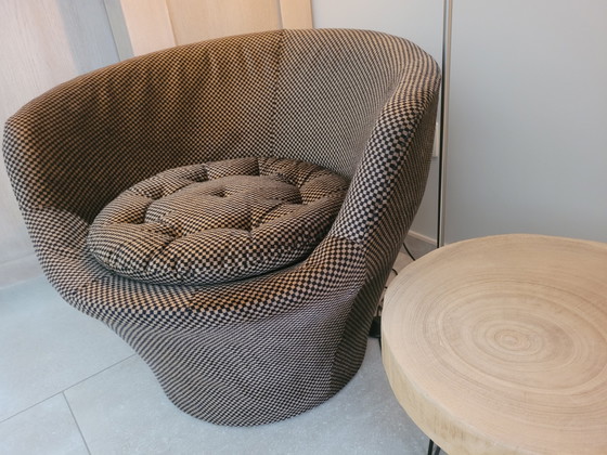 Image 1 of Fauteuil baquet vintage « Gamma » conçu par Pierre Guariche - 1960
