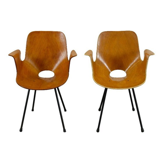 Image 1 of sedia con braccioli in legno curvato di faggio "medea" di vittorio nobili per fratelli tagliabue, italia, 1956