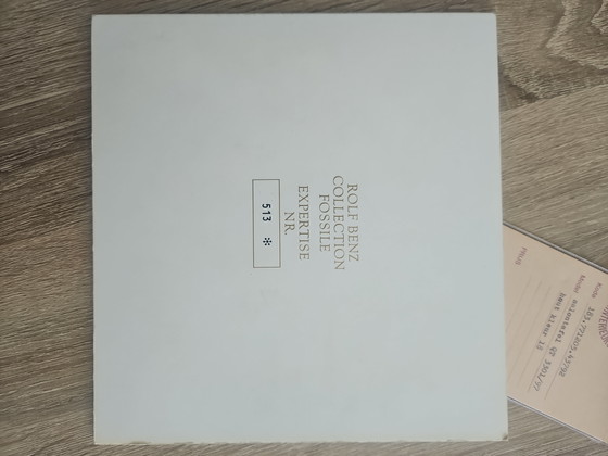 Beautiful Rolf Benz Coffee Table Fossil Marble from 1977 – Stone, Wood (photo 11 of 15)