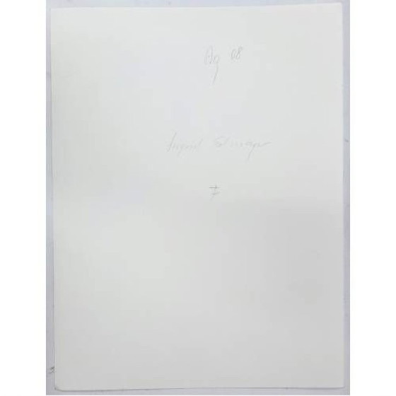 Image 1 of Watercolor painting, August, 41 cm by 31 cn