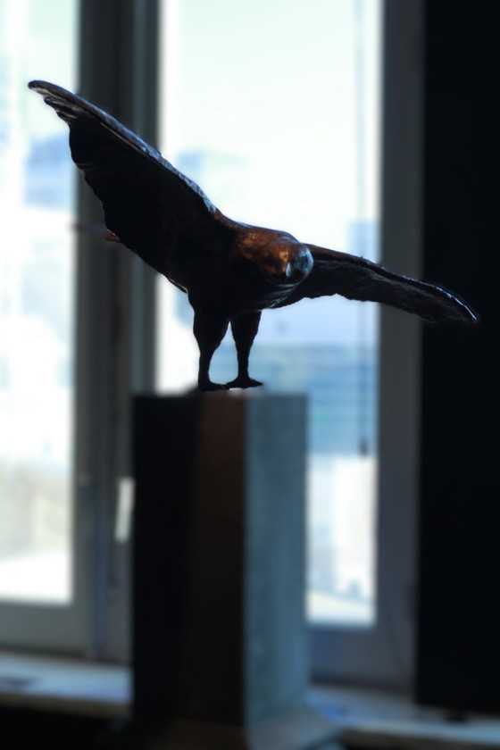 Image 1 of Buizerd - Arvid Henkes