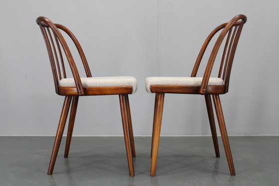 Image 1 of 1960 Antonin Suman Ensemble de six chaises de salle à manger en hêtre, restaurées