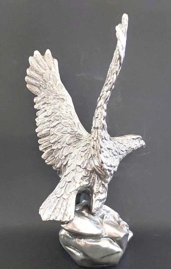 Image 1 of Mooie Adelaar beeld