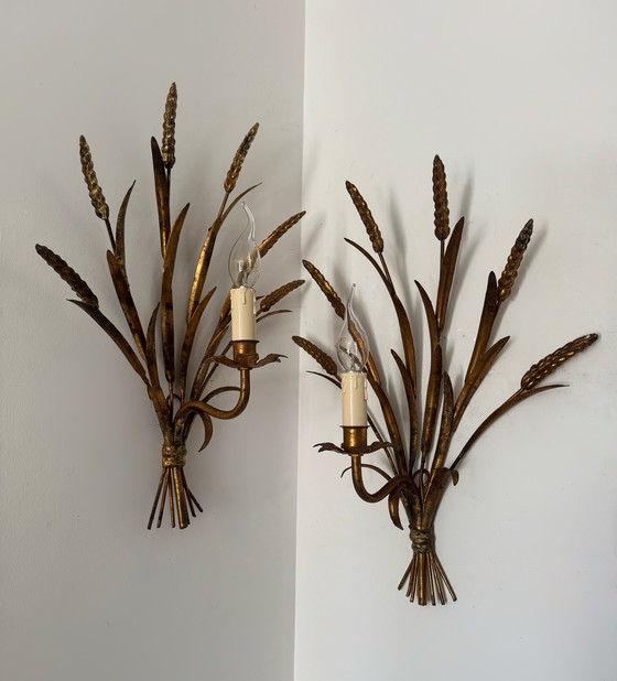 Image 1 of Apliques de pared con forma de espiga de trigo, década de 1960.