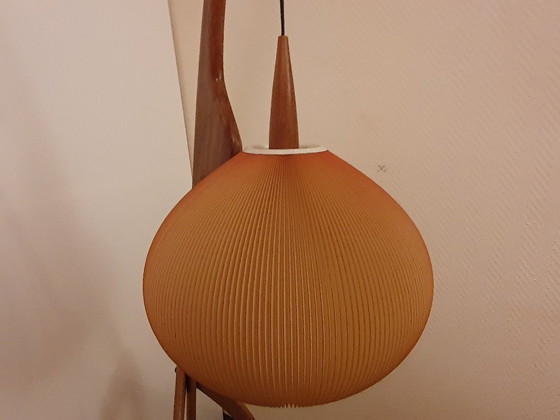 Image 1 of praying mantis