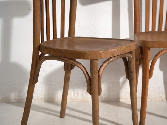 Pair of Thonet style bentwood chairs with low back – Central Europe, circa 1920 – Dining chairs (photo 21 of 40)