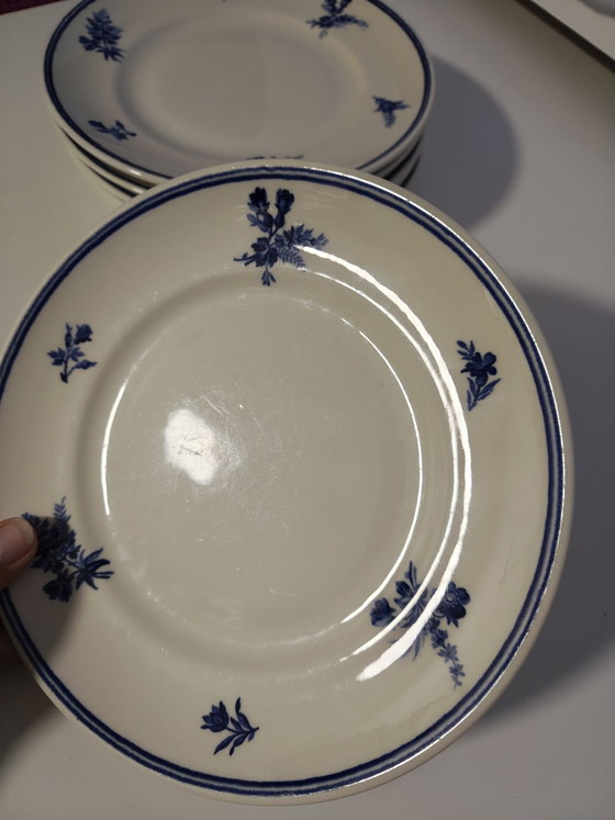 Petrous Regout 1980-1920 Riva dinner plates 21 cm, Petrus Regout, Crockery, Porcelain, Blue (photo 5 of 5)
